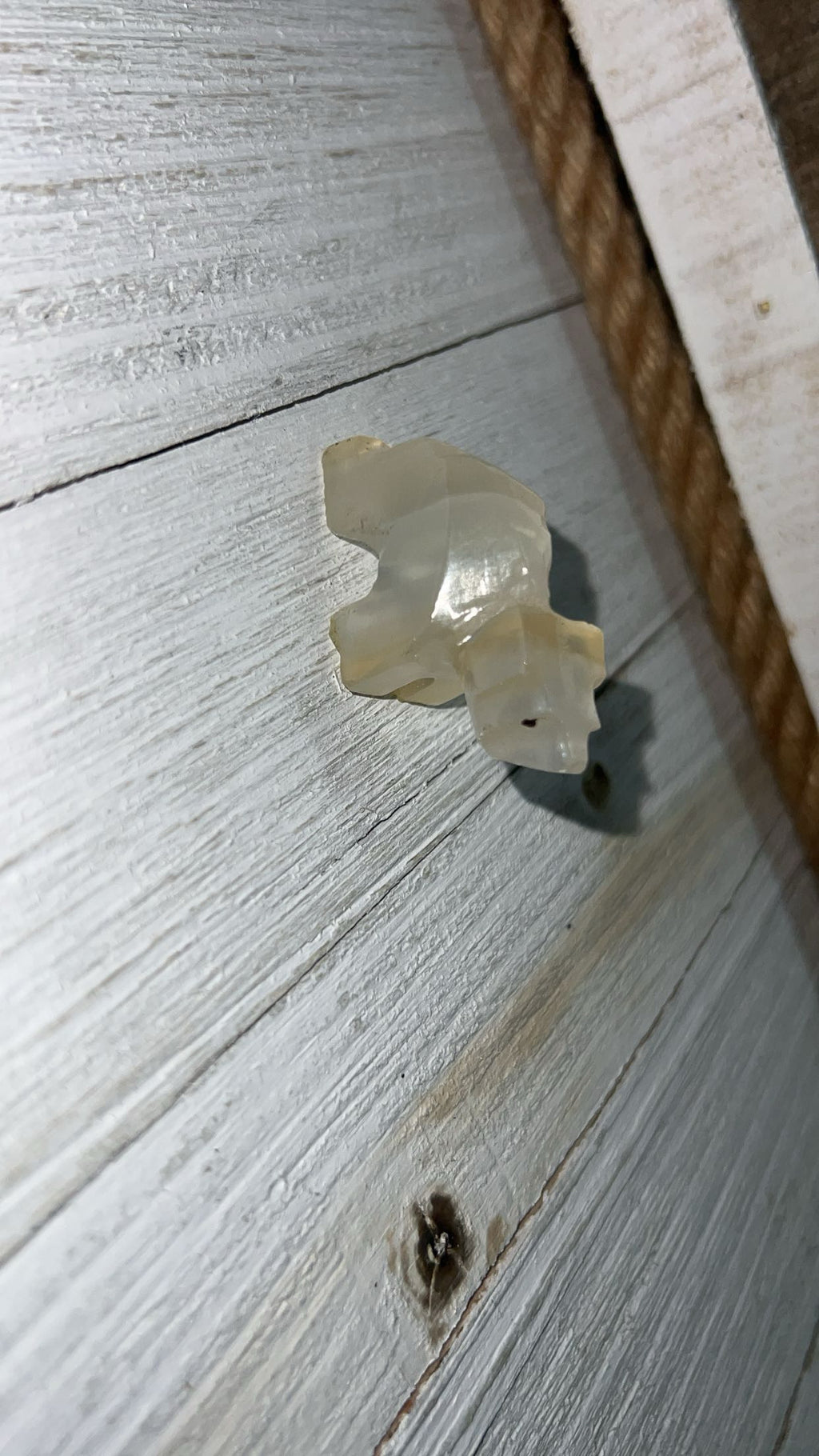White Onyx polar bear