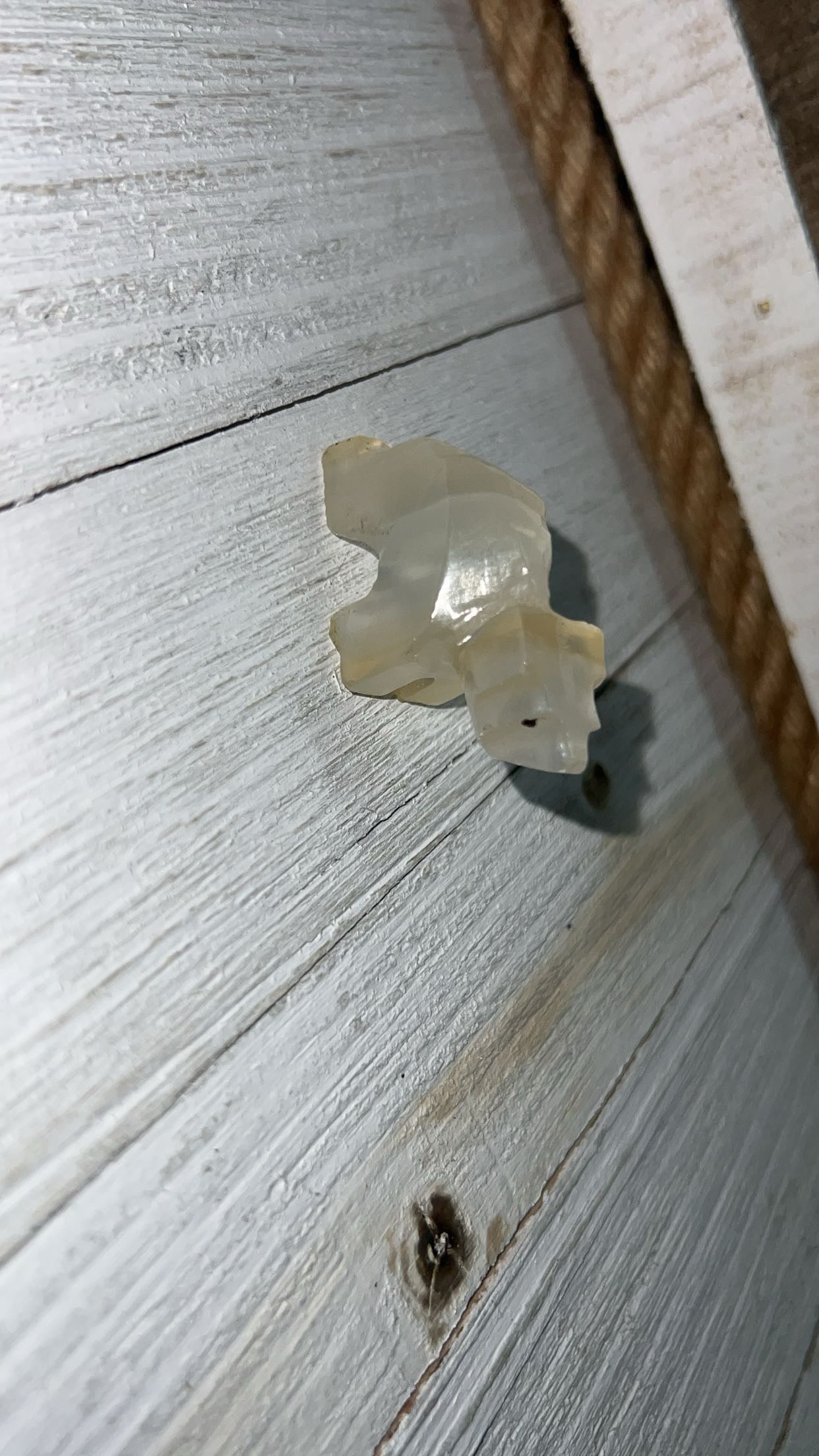 White Onyx polar bear