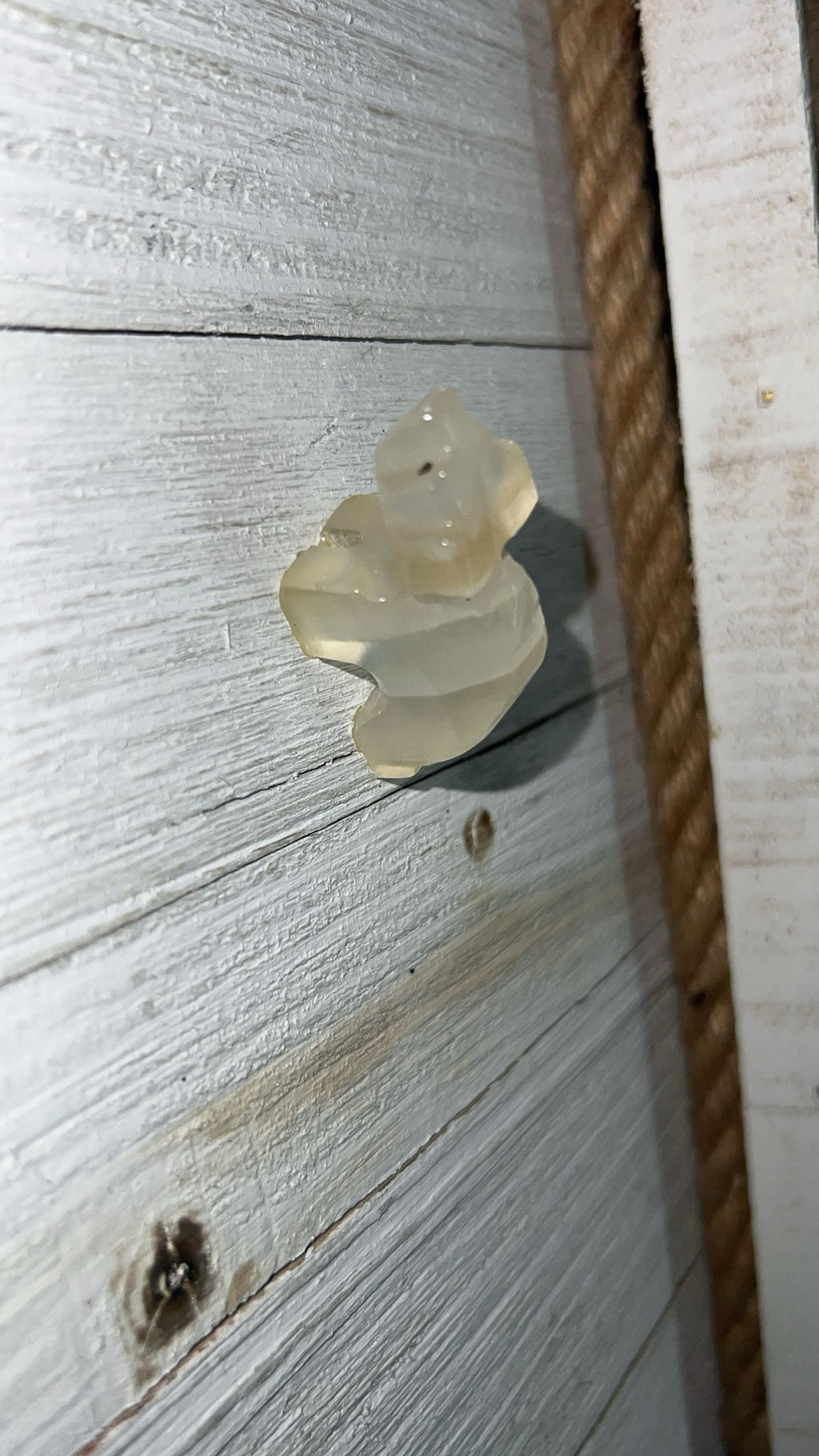 White Onyx polar bear