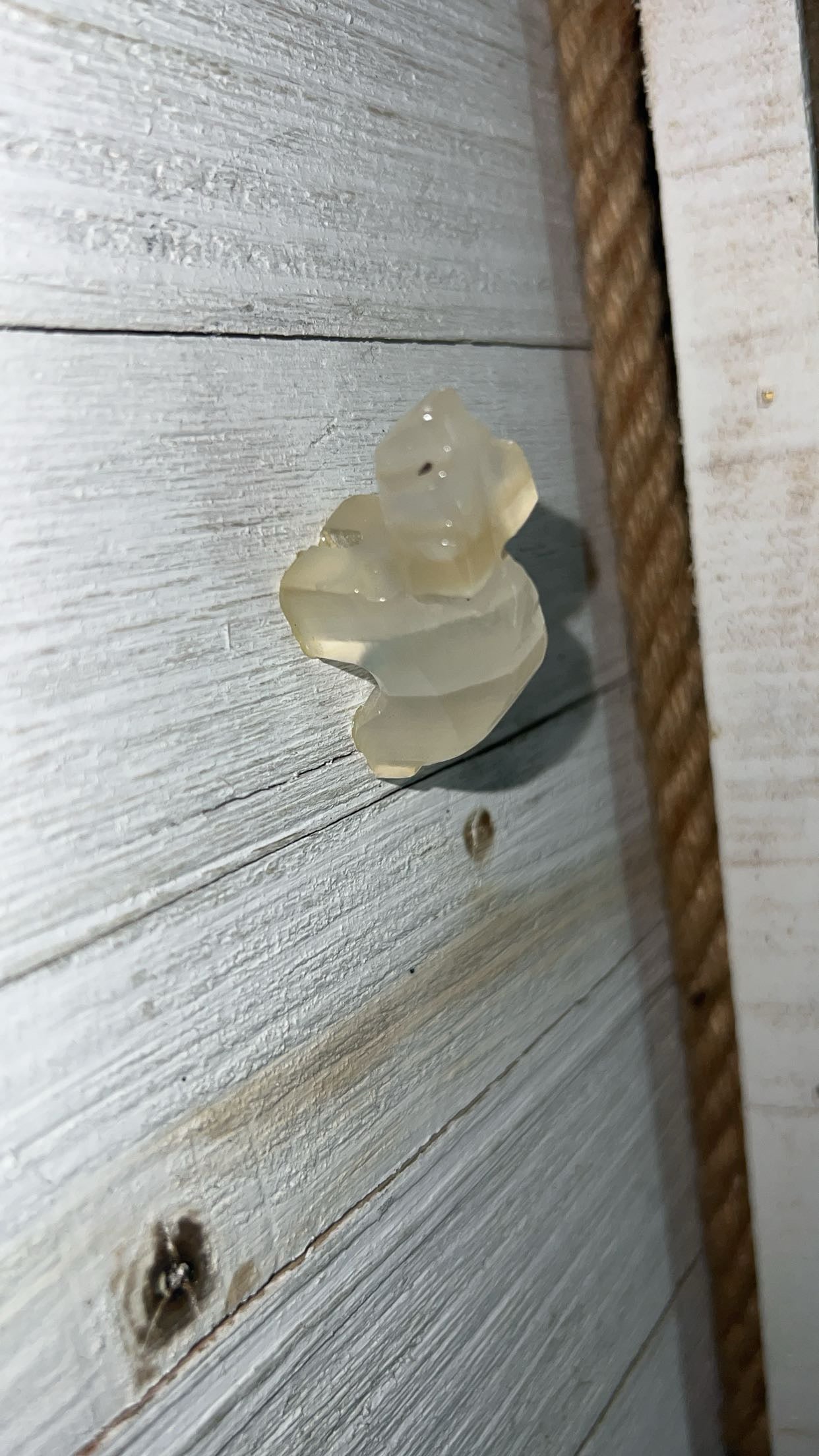 White Onyx polar bear