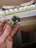 Green Tourmaline specimen with quartz inclusions